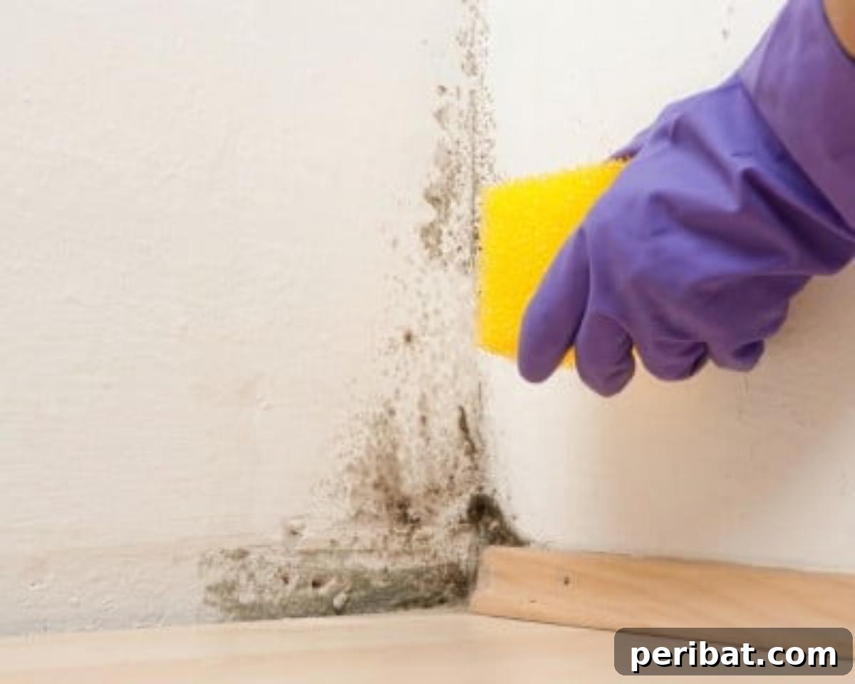 51 Genius Hydrogen Peroxide Hacks 31 Cleaning a wall mold.