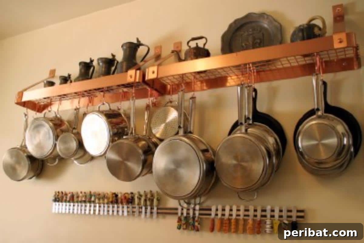 51 Genius Hydrogen Peroxide Hacks 34 A wall-mounted kitchen rack