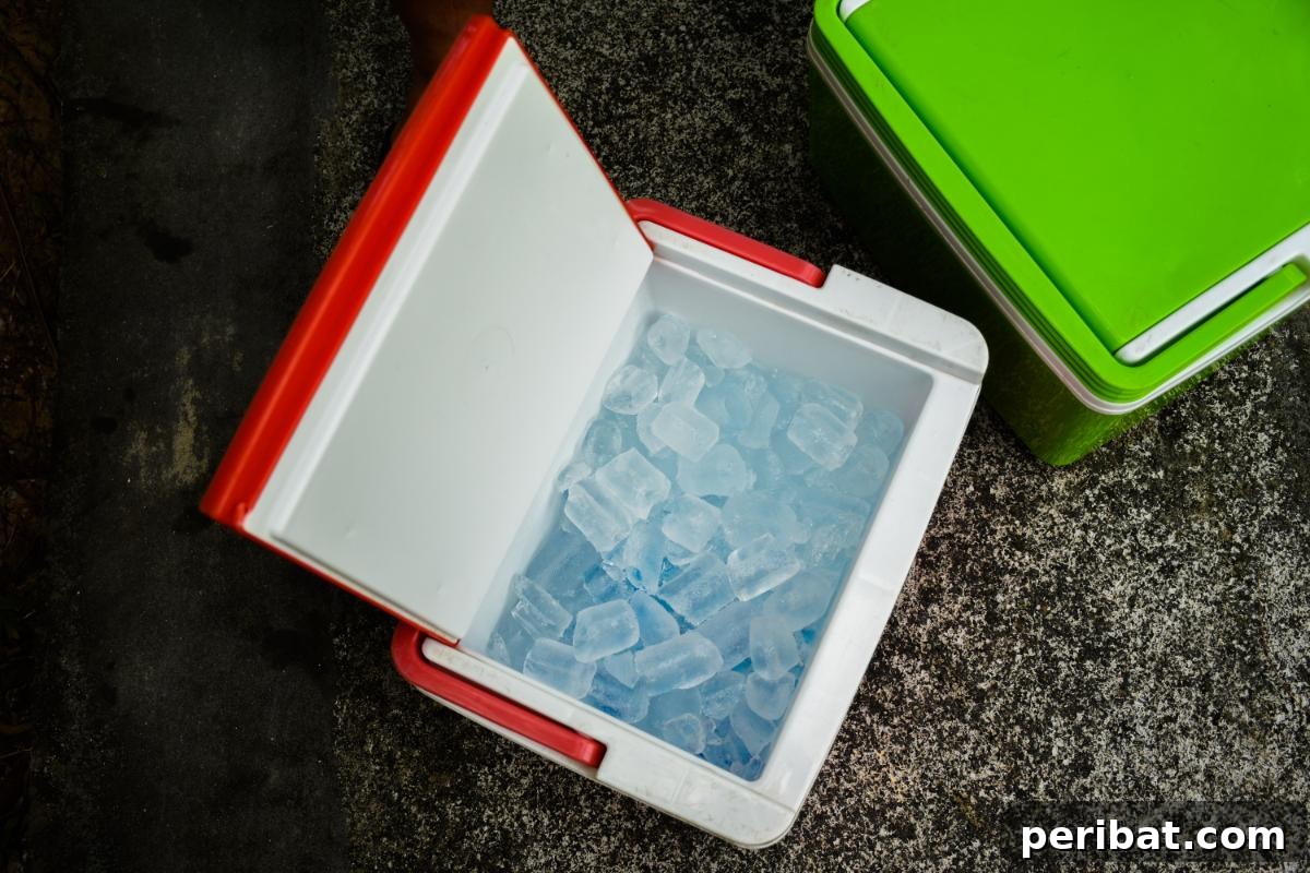 51 Genius Hydrogen Peroxide Hacks 47 A cooler box with ice
