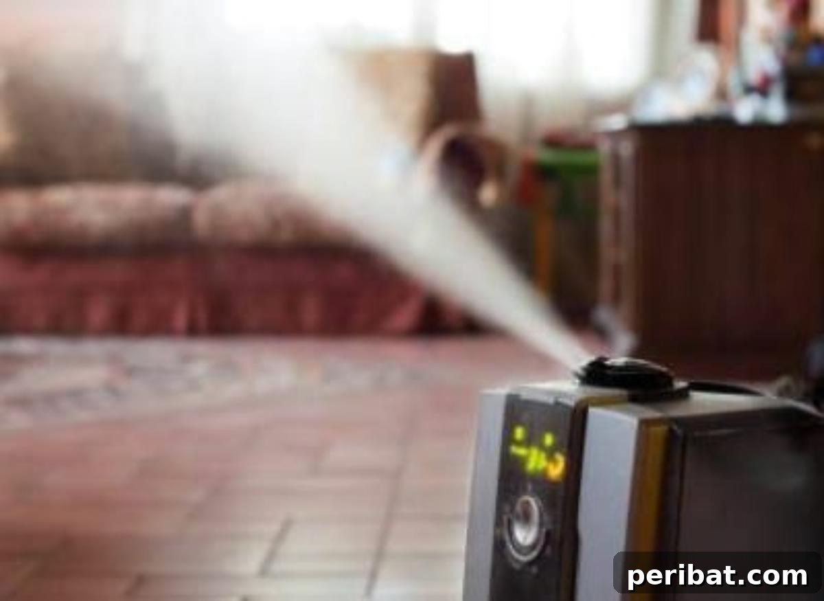 51 Genius Hydrogen Peroxide Hacks 49 Humidifier