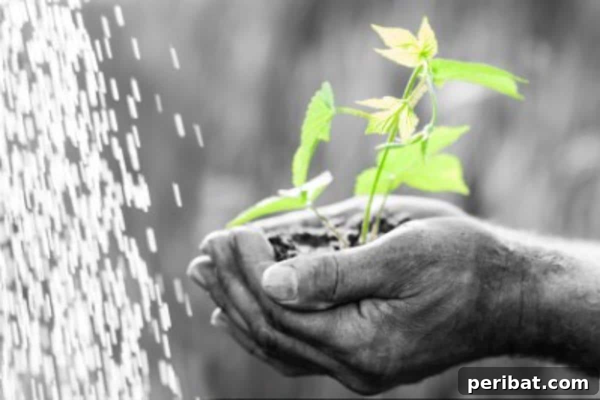 51 Genius Hydrogen Peroxide Hacks 50 Holding a sapling near a waterfall