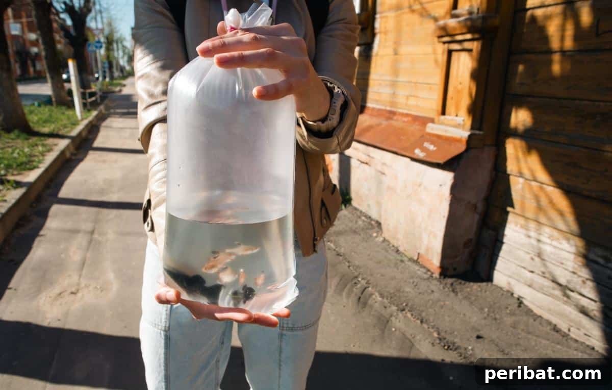 51 Genius Hydrogen Peroxide Hacks 53 A fisn in a bag