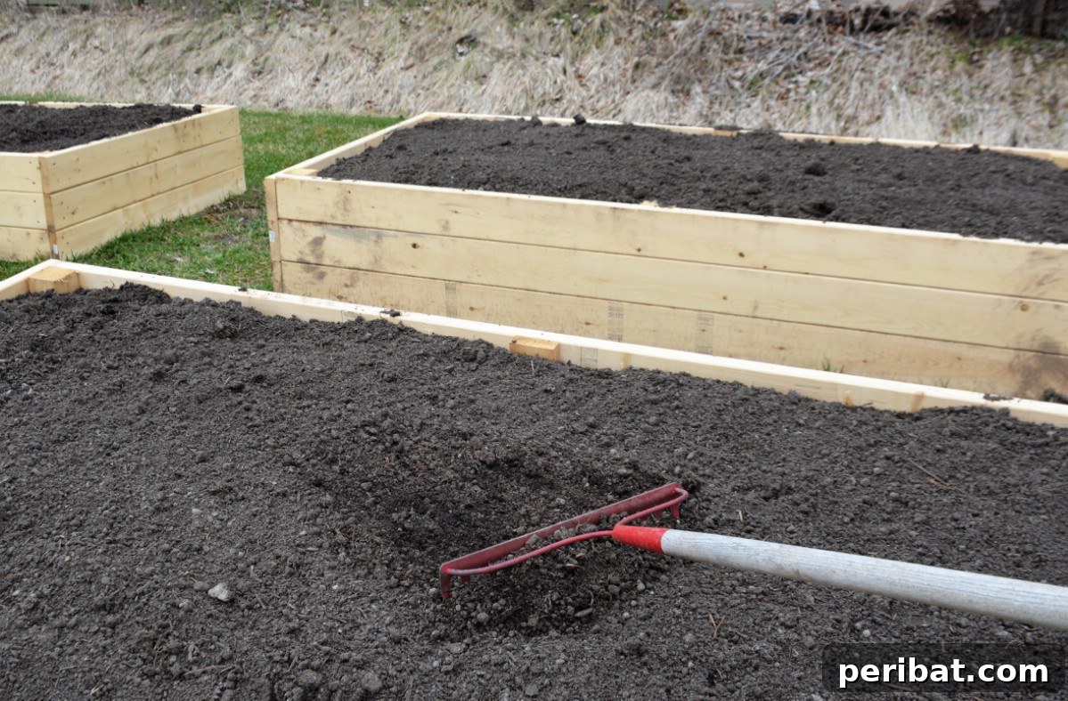 Raised garden bed with fresh top soil.