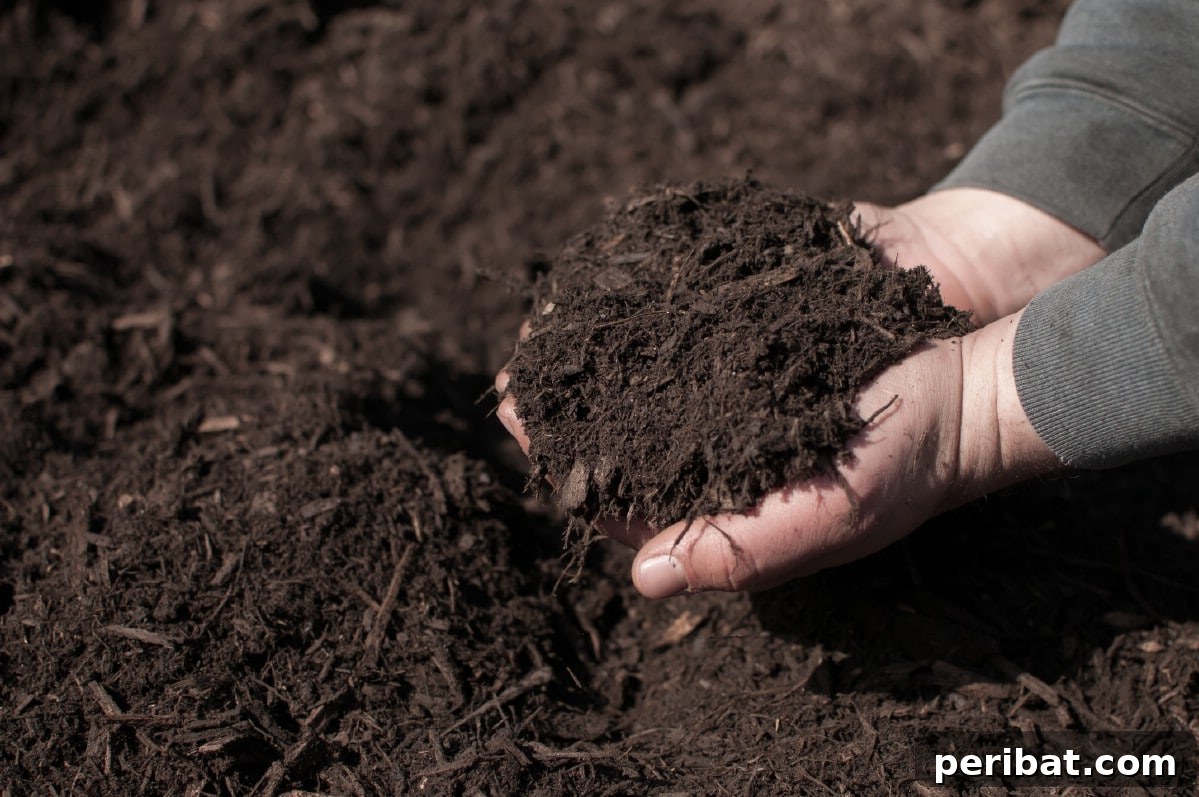 Black mulch.