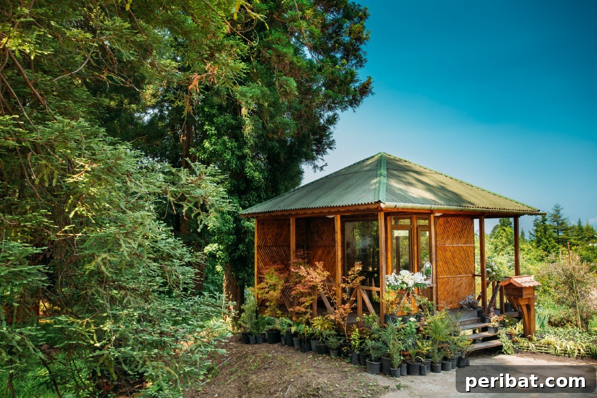 Garden shed.
