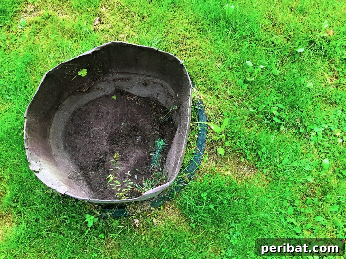 Old bucket.