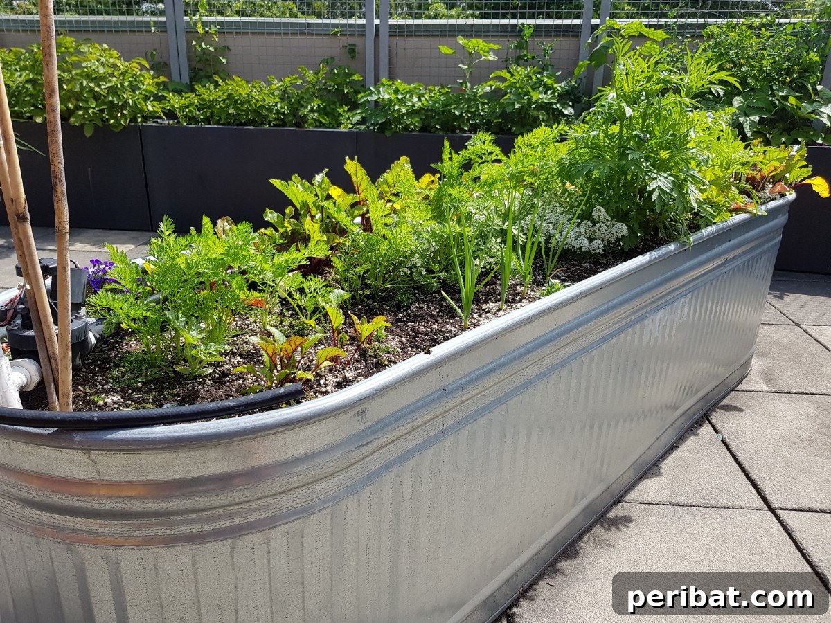 Stock tank planter.