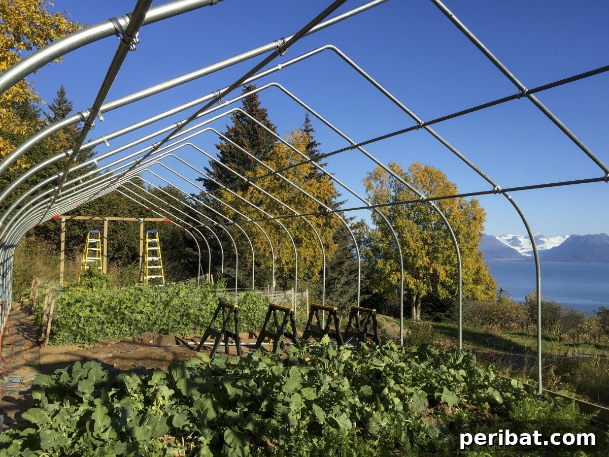 Sawhorses in a greenhouse.