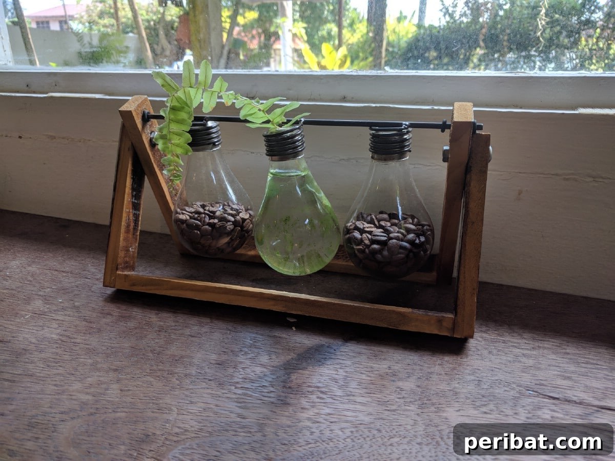 Light bulb planter.
