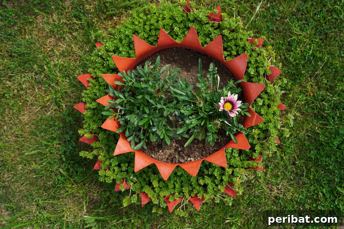 Decoratieve tire planter.