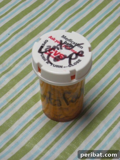 Boş İlaç Şişelerini Değerlendirmek İçin 30 Harika Fikir 28 Pill Bottle Seed Storage