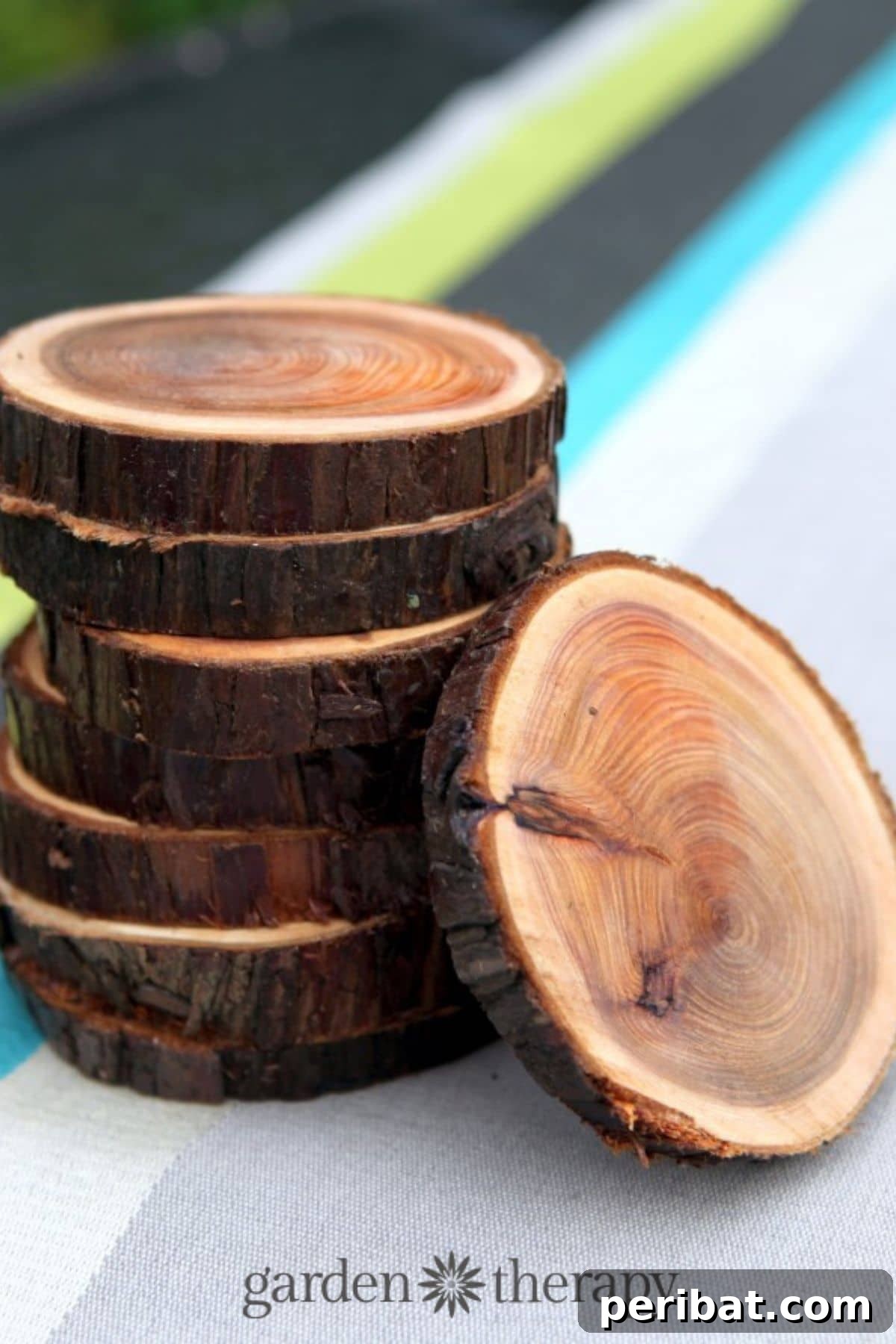 A set of rustic coasters made from natural wood slices, perfect for adding a touch of nature to a home.