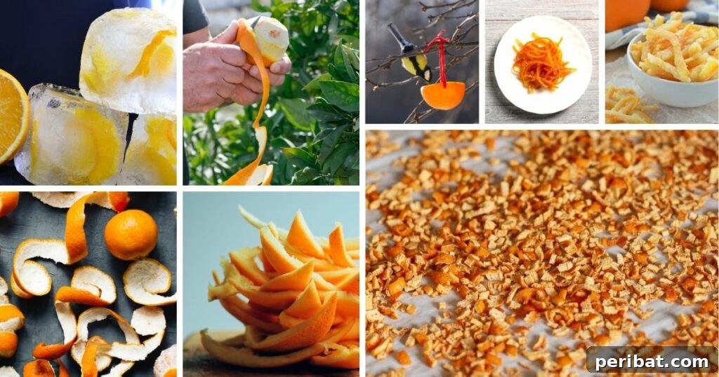 Orange peel uses collage showcasing various applications