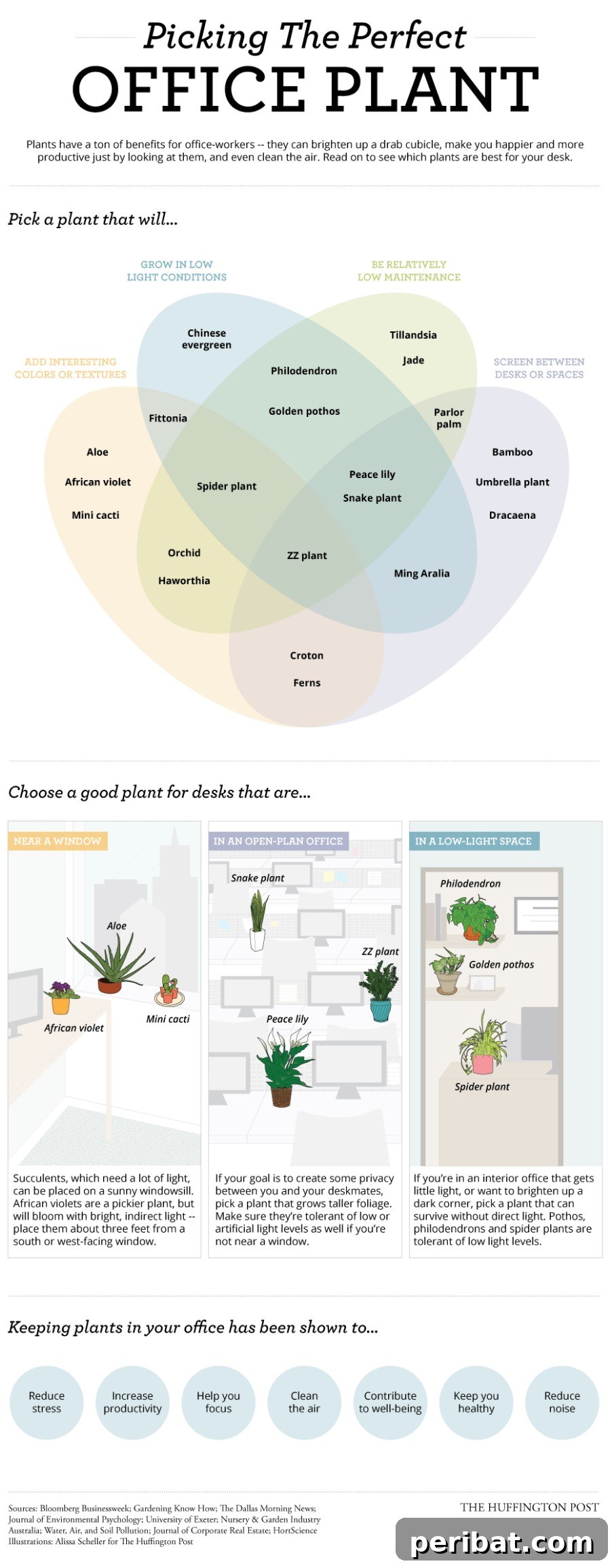 2. Figure out what types of plants you can grow - 50 Amazingly Clever Cheat Sheets To Simplify Home Decorating Projects