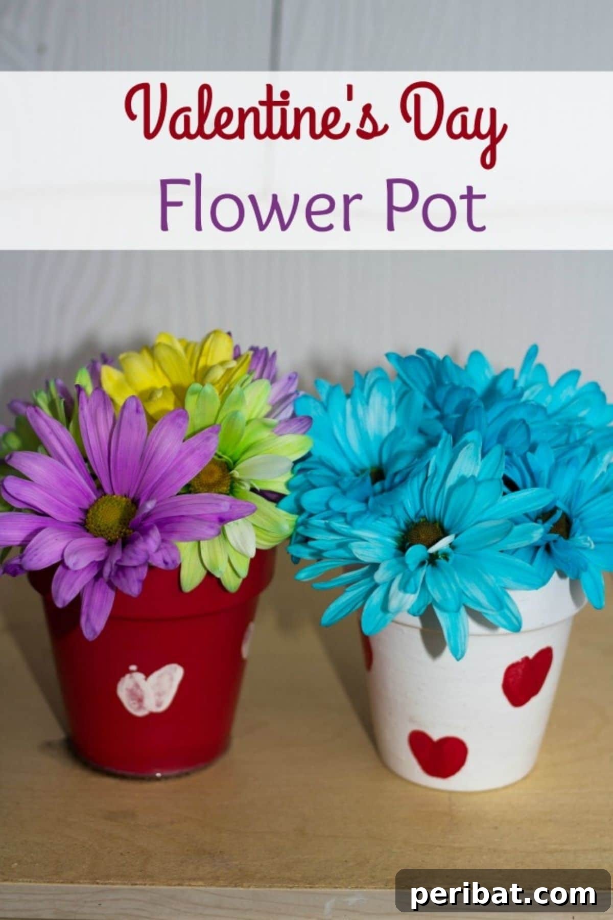 Valentine flower pot