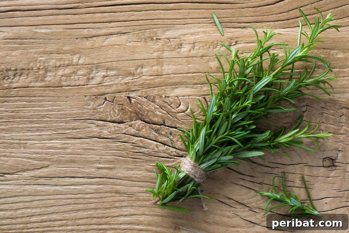 Foolproof Guide to Propagating Rosemary Cuttings 9 rosemary herb in a wooden table