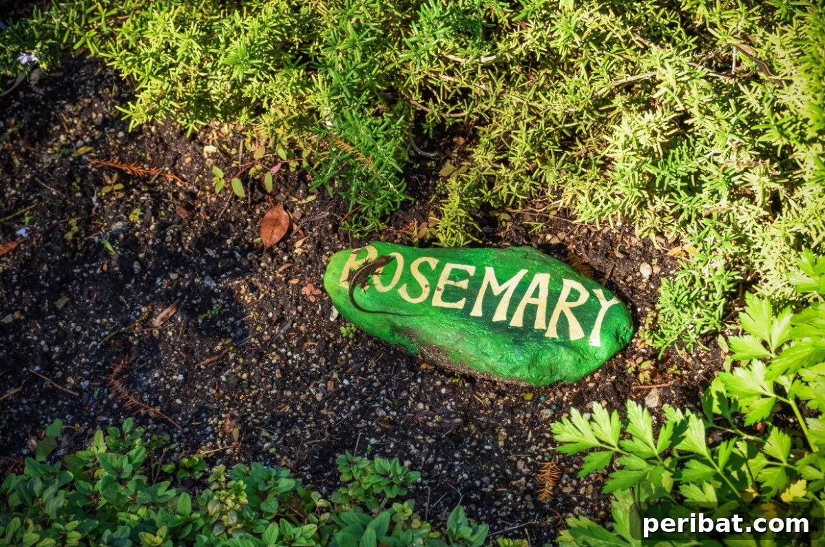 Green painted rock with white lettering that says rosemary