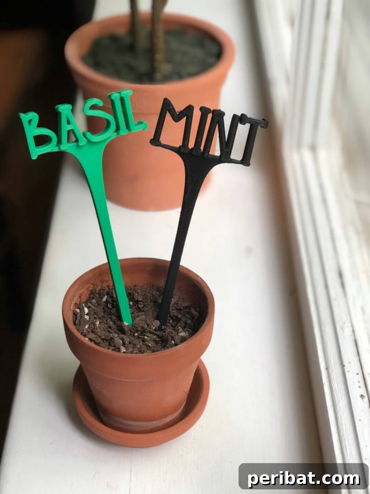 Basil and mint labels in small terra cotta pot