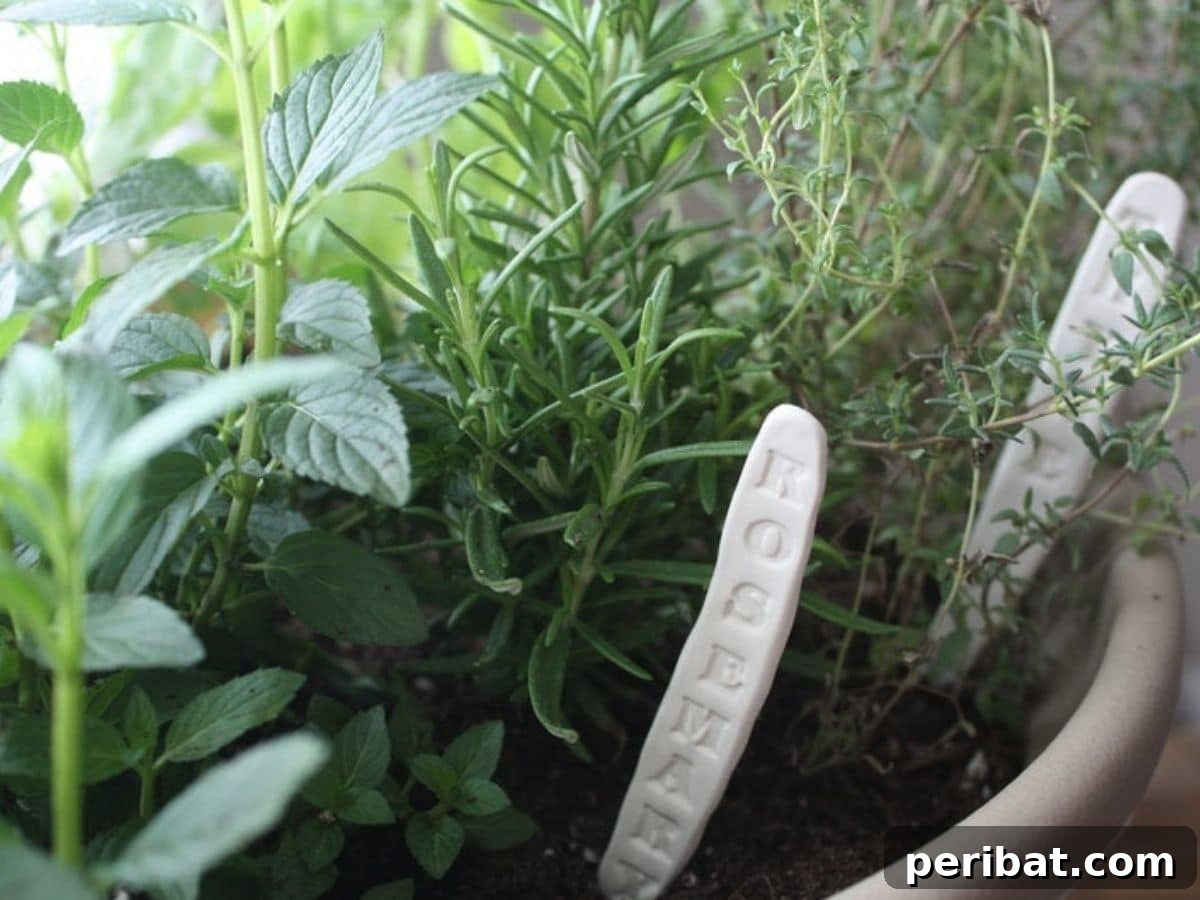 White clay garden markers by herbs in pot