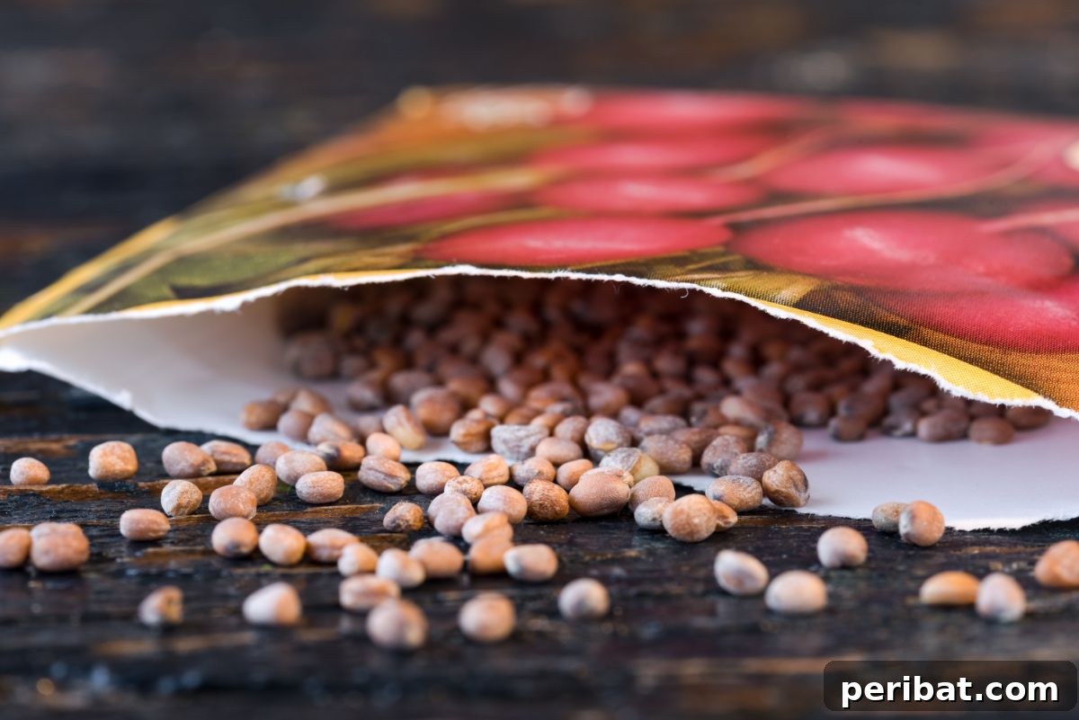 seeds in an open packet