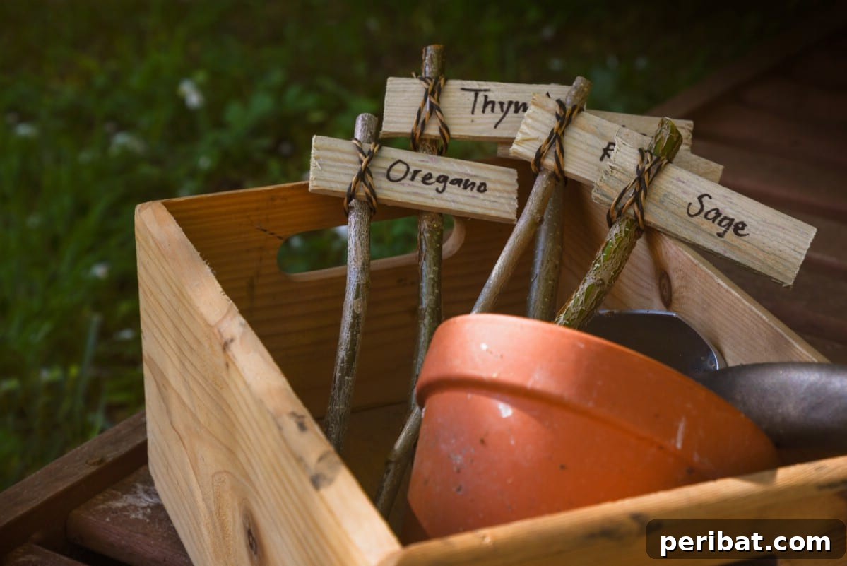 Plant markers in wood box with terra cotta planter