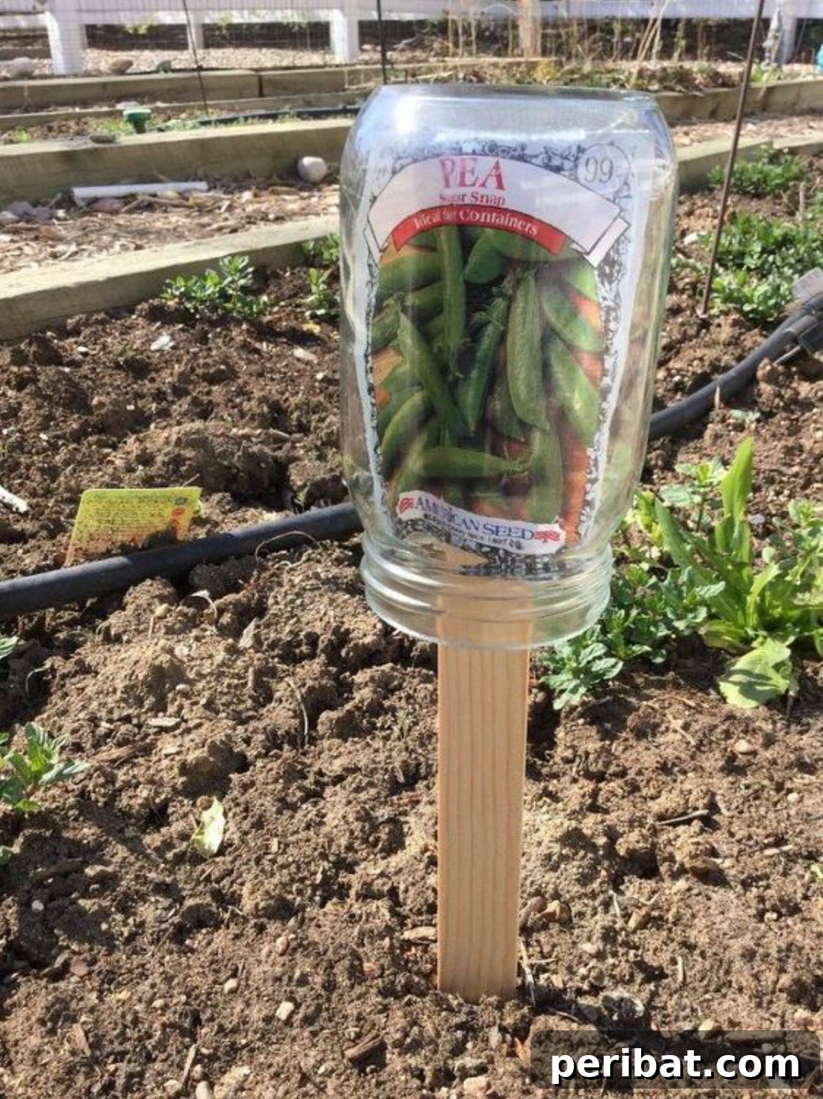 Mason jar plant marker