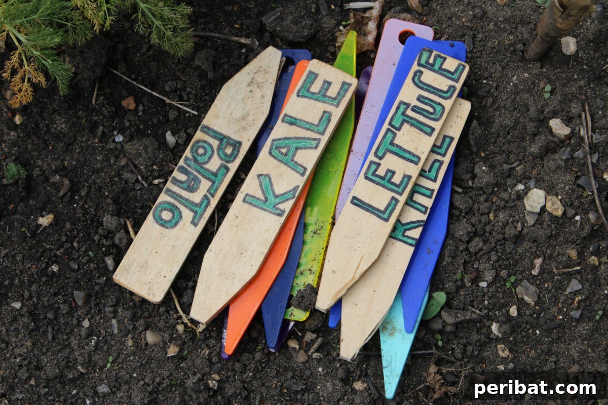 Paint stick plant markers painted on soil