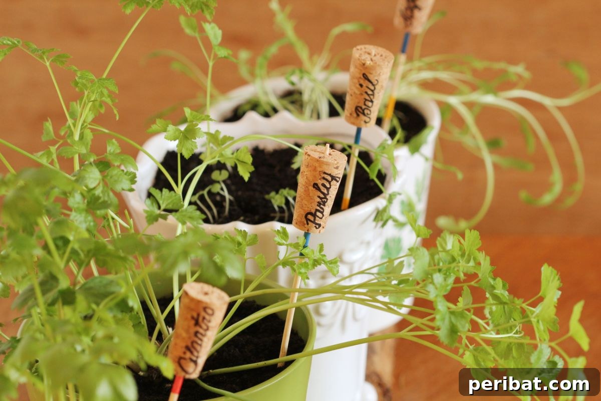cork plant marker