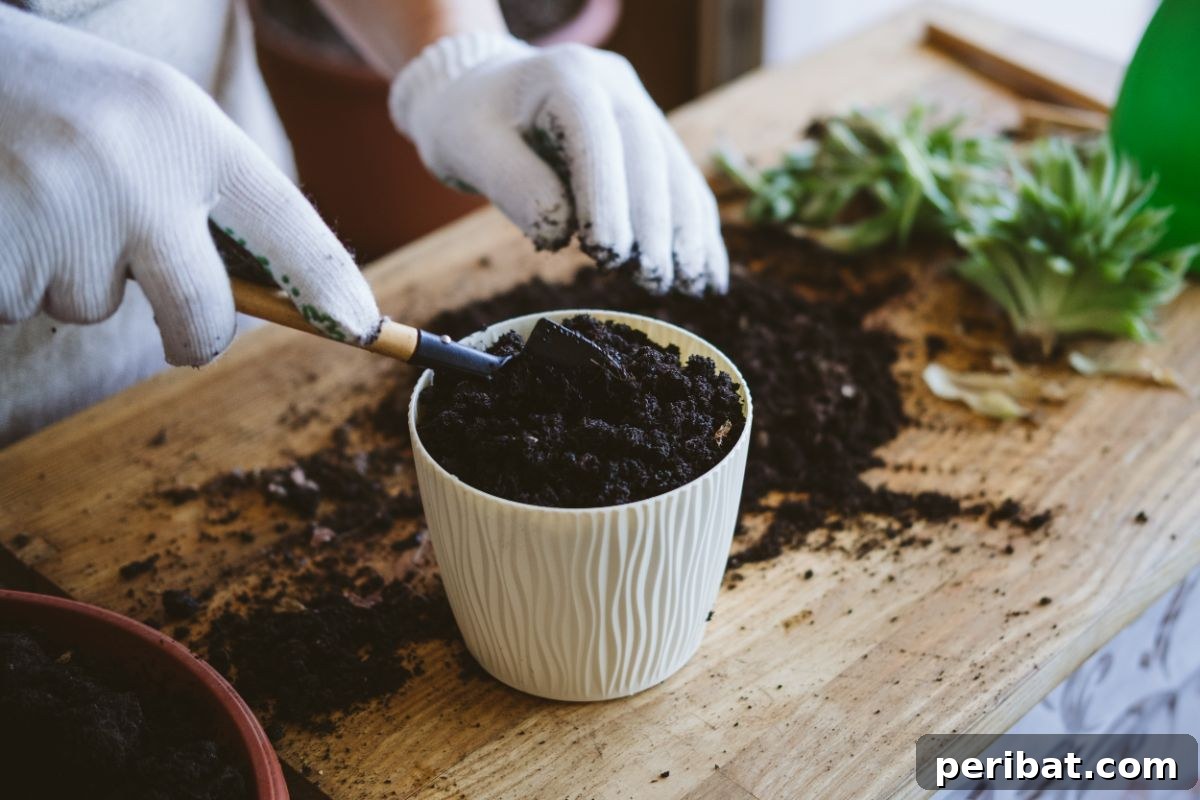 Simple Secrets for Propagating Succulents 20 preparing soil for repotting of succulent, hands mixing a gritty, well-draining soil mix in a pot