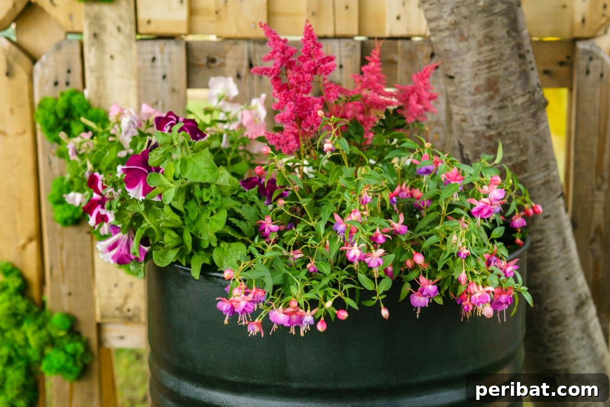 using barrel as raised bed for plants