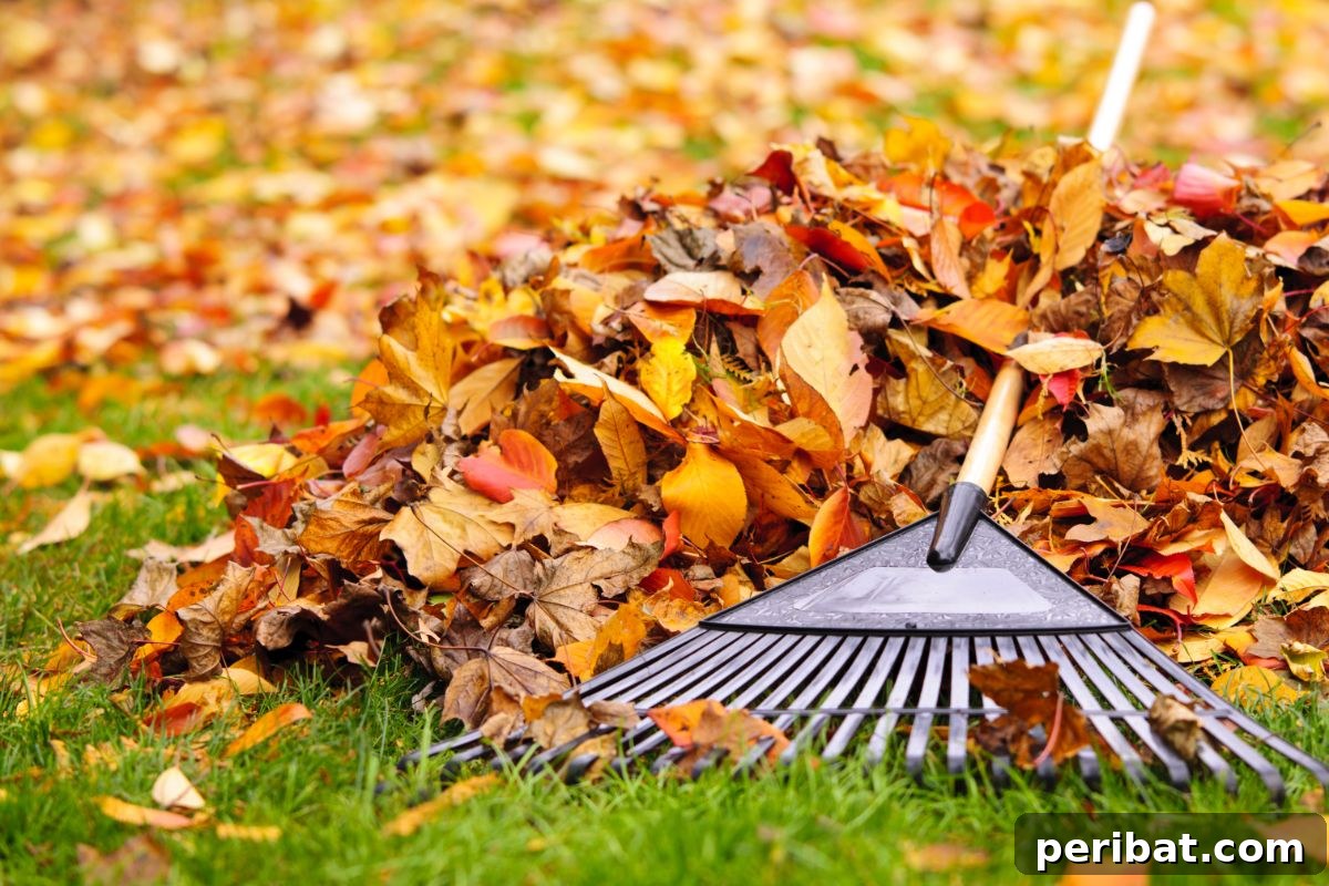 pile of leaves with fan rake 