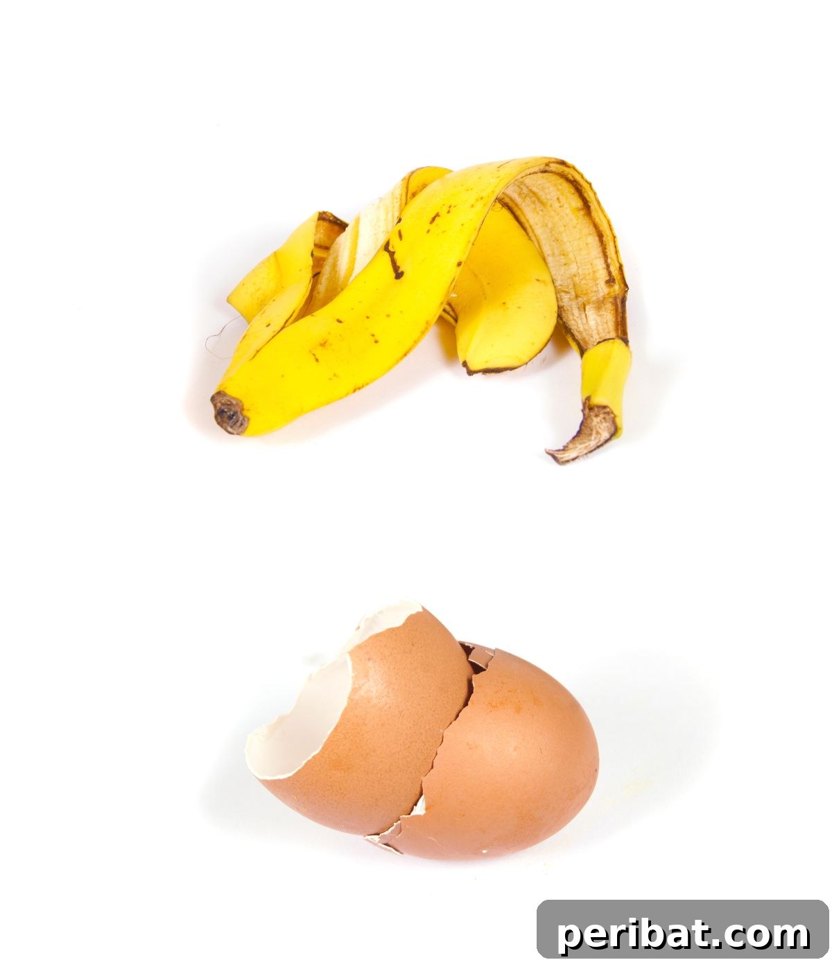 a banana skin and egg shells 