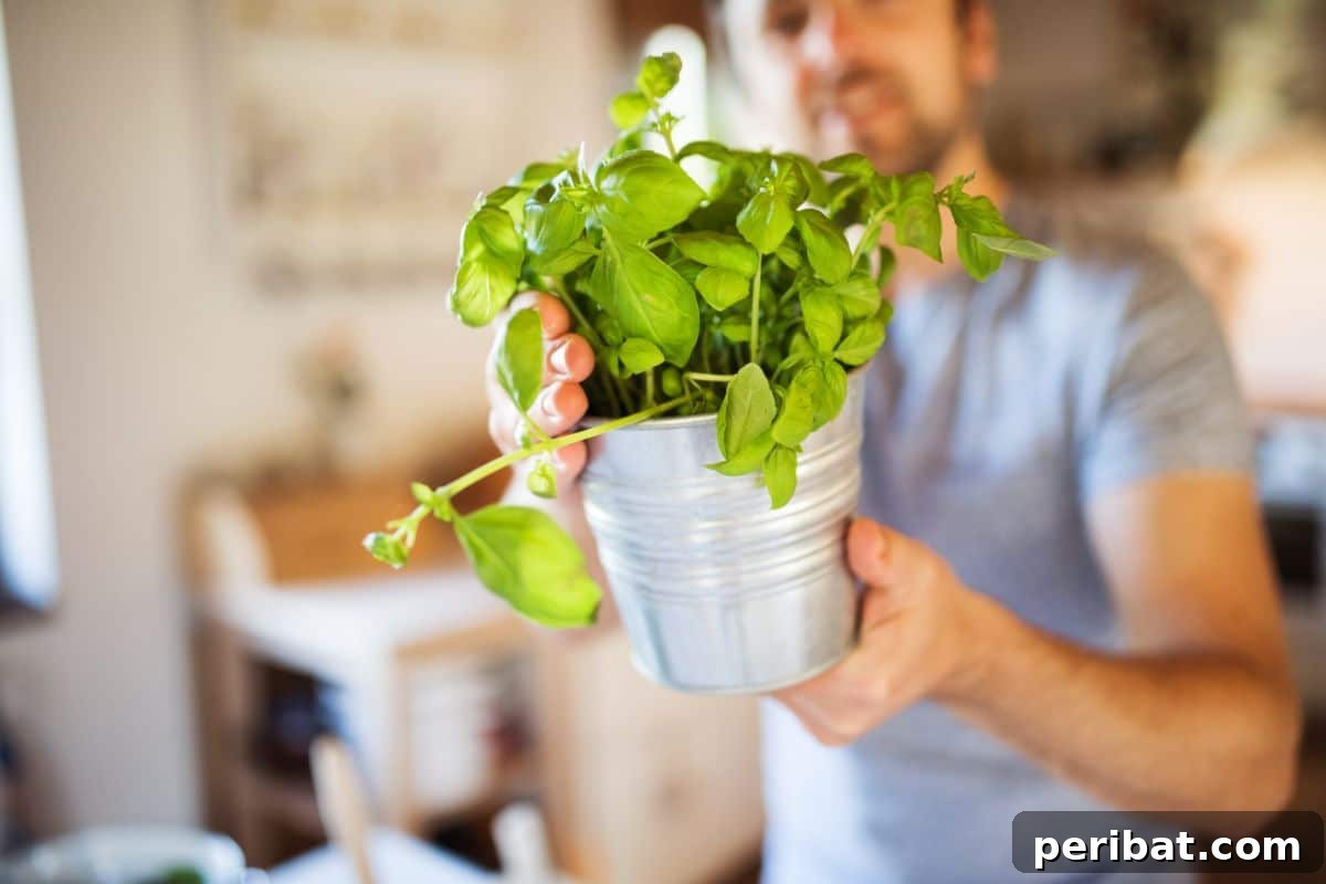 carrying a grown plant 