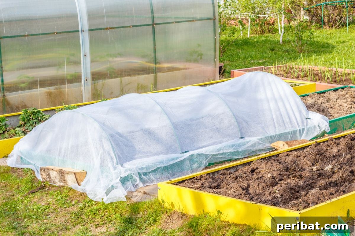 small vegetable greenhouse covered in plastic for preheating 