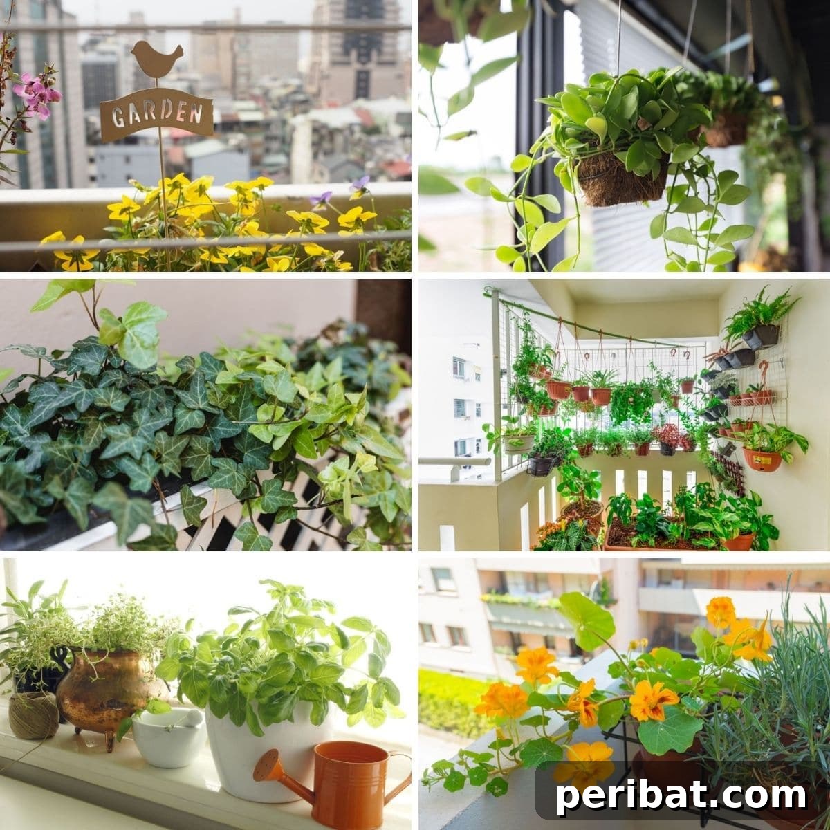 Tips for Urban Gardening