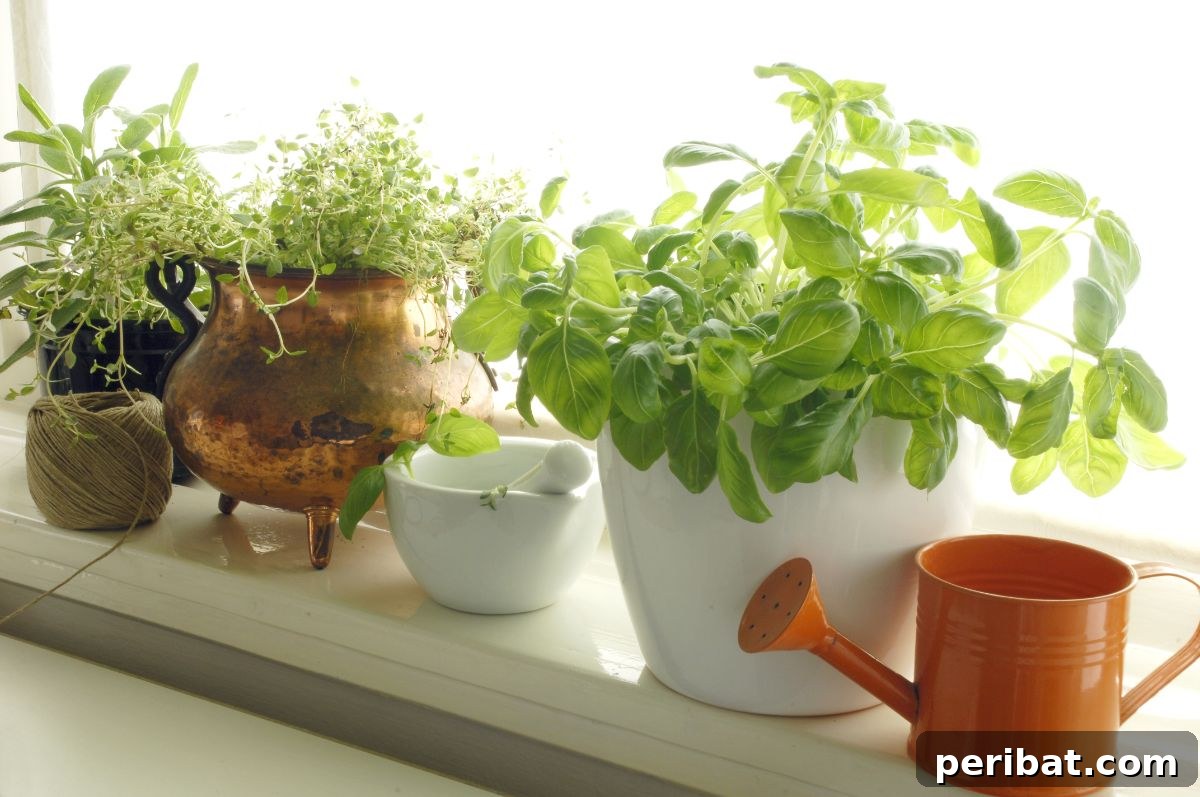 Cultivating Your Urban Oasis: 20 Expert Tips for City Gardeners 15 fresh herbs in pots on window