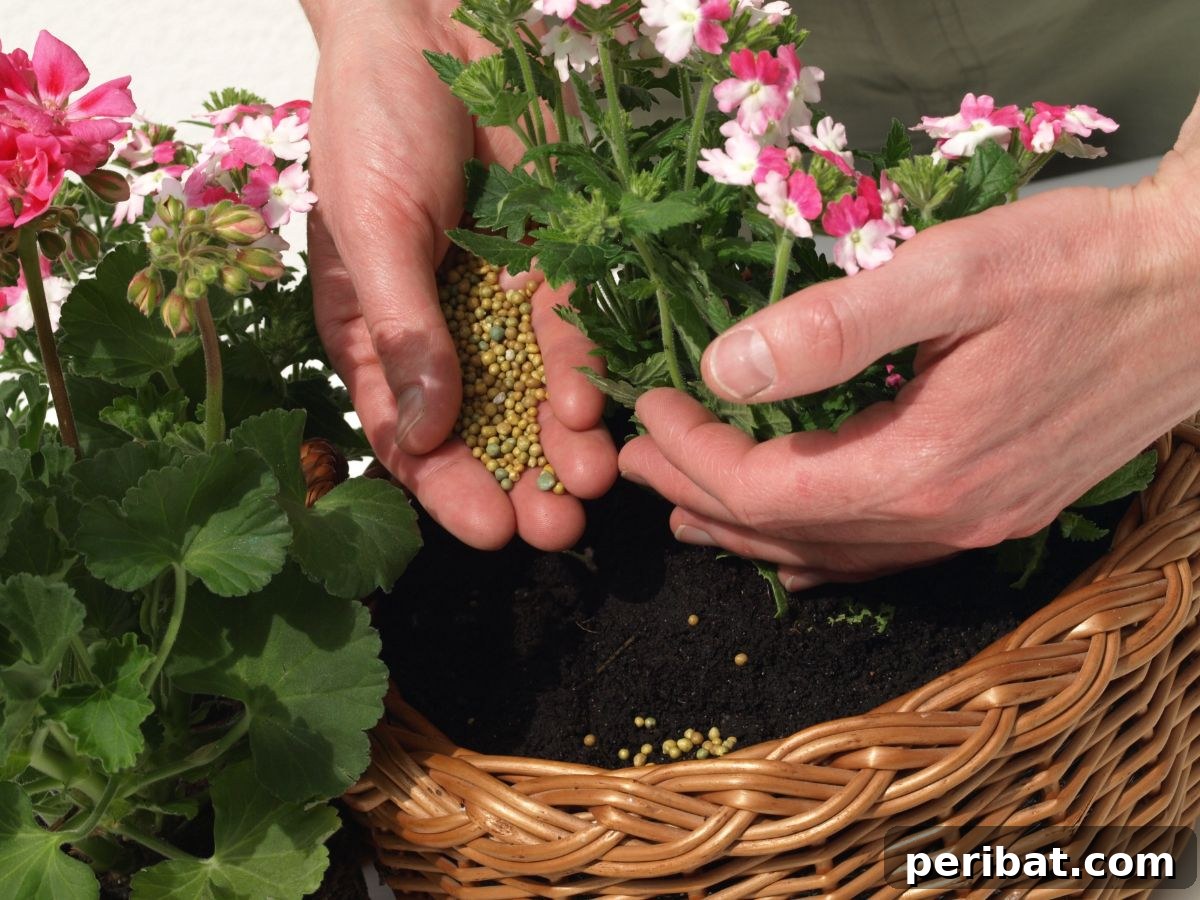 Cultivating Your Urban Oasis: 20 Expert Tips for City Gardeners 20 fertilizing the flower