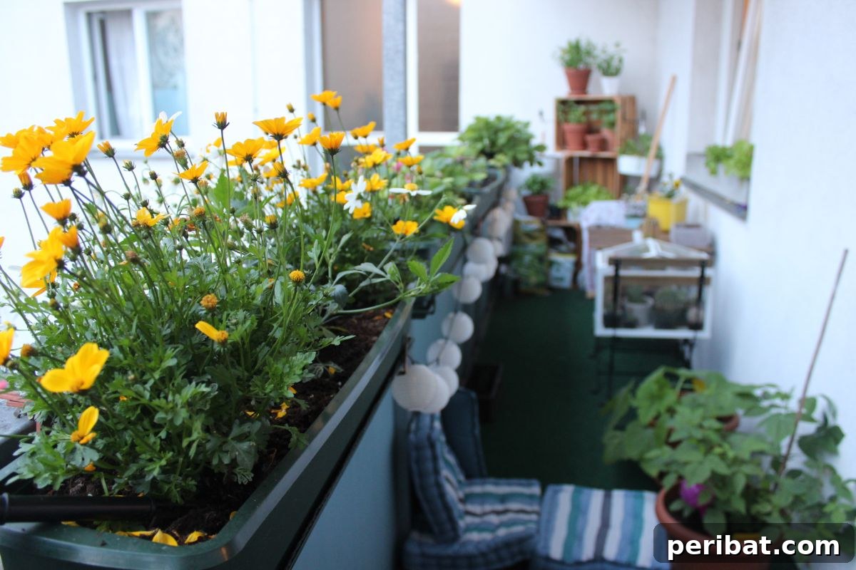 Cultivating Your Urban Oasis: 20 Expert Tips for City Gardeners 3 yellow flowers in a small balcony garden