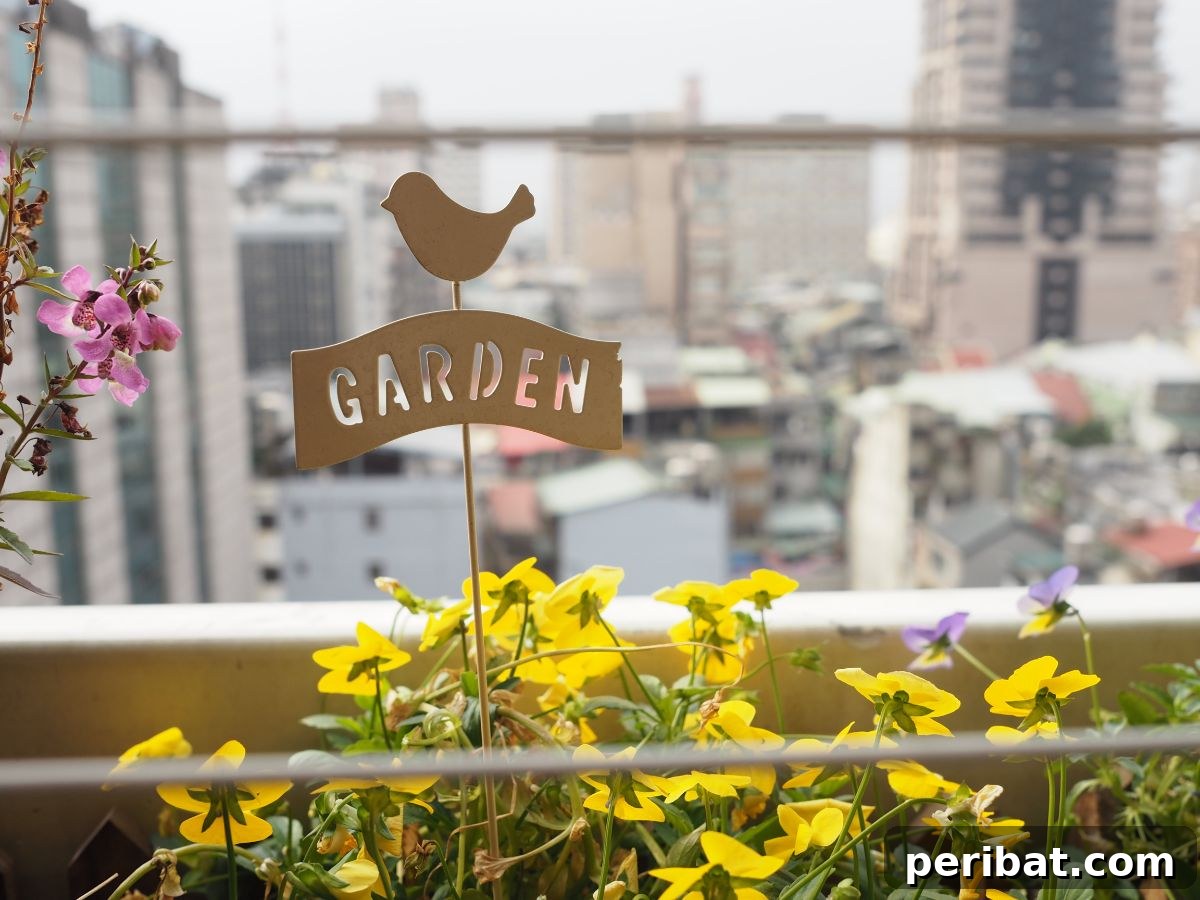 Cultivating Your Urban Oasis: 20 Expert Tips for City Gardeners 23 yellow flowers with garden label and city view