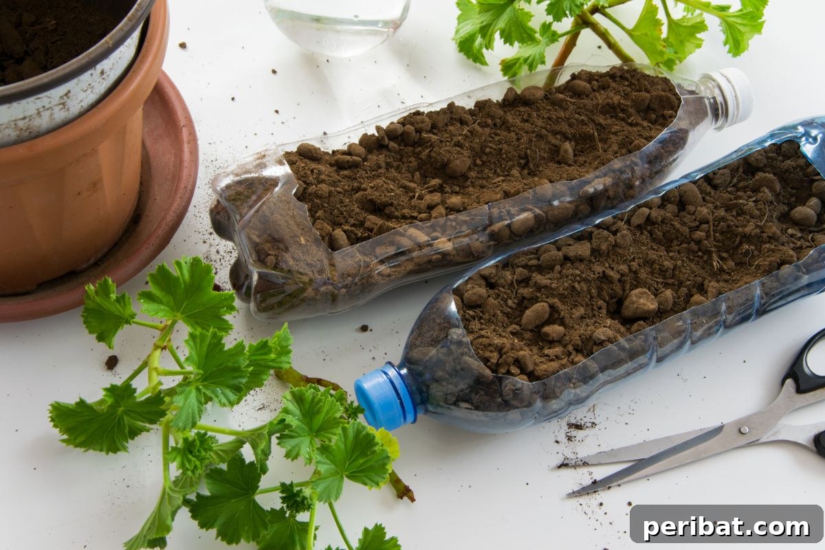 Cultivating Your Urban Oasis: 20 Expert Tips for City Gardeners 8 soil in a recrycled into pot plastic water bottle