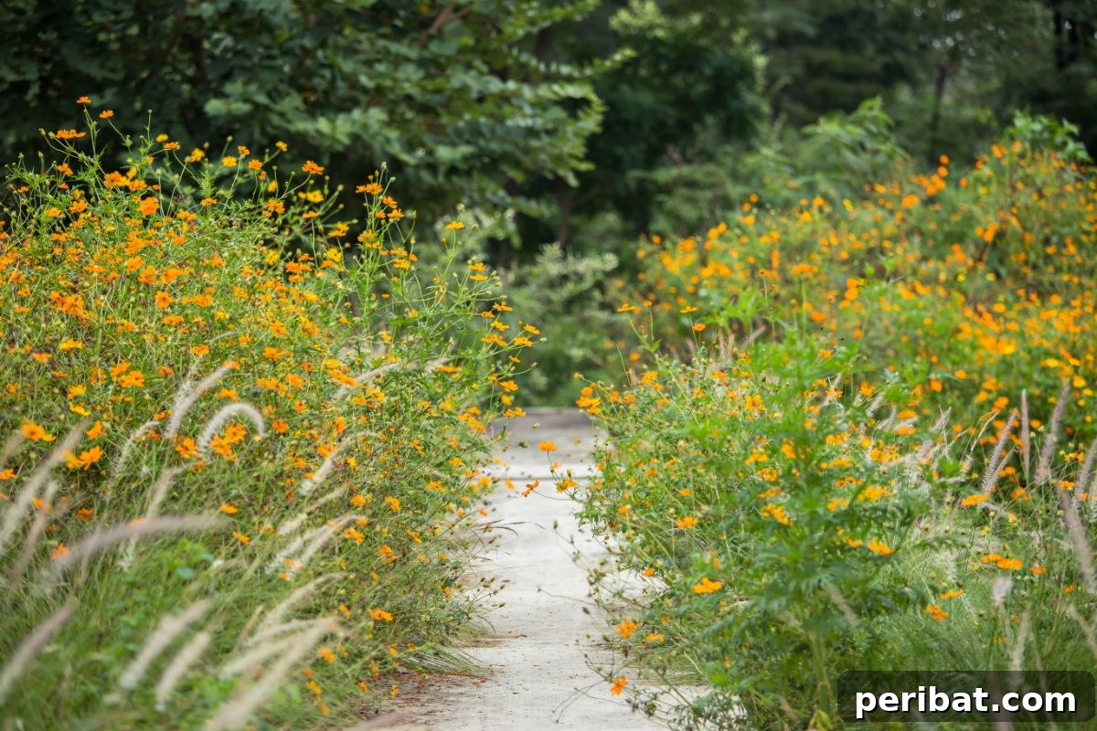 Shade Garden Success: 25 Beautiful Flowers for Under Trees 29 yellow lysimachia flowers in the garden park