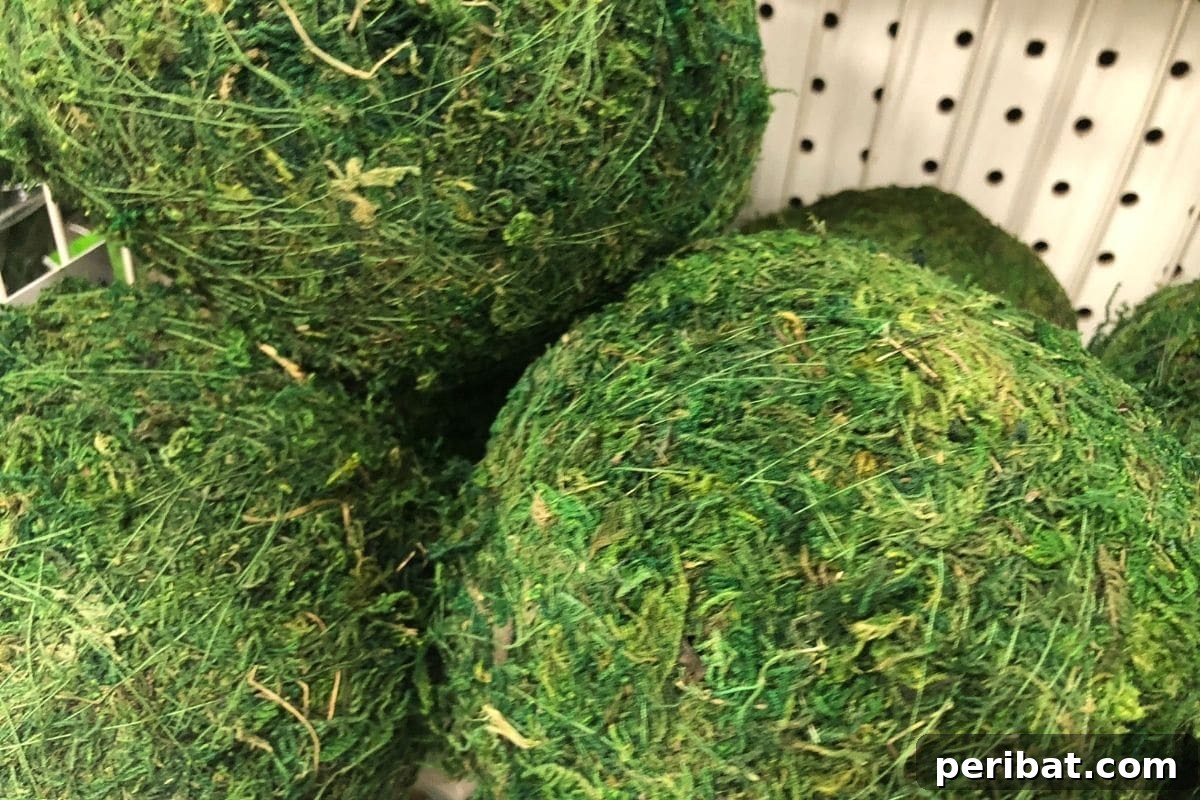 Build Your Own Lettuce Globe for Effortless Summer Salads 4 circle green moss