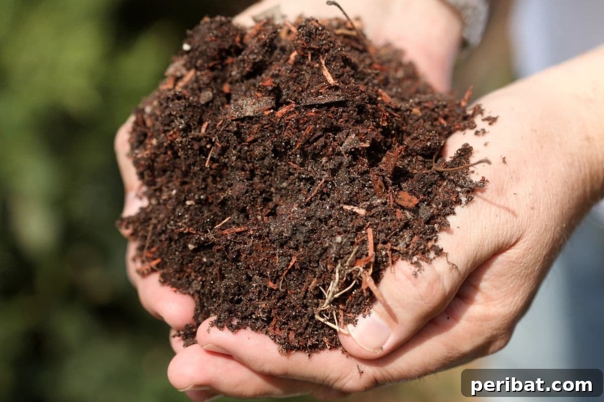 15 Expert Strategies for Pre-Planting Soil Improvement 11 soil in two hands