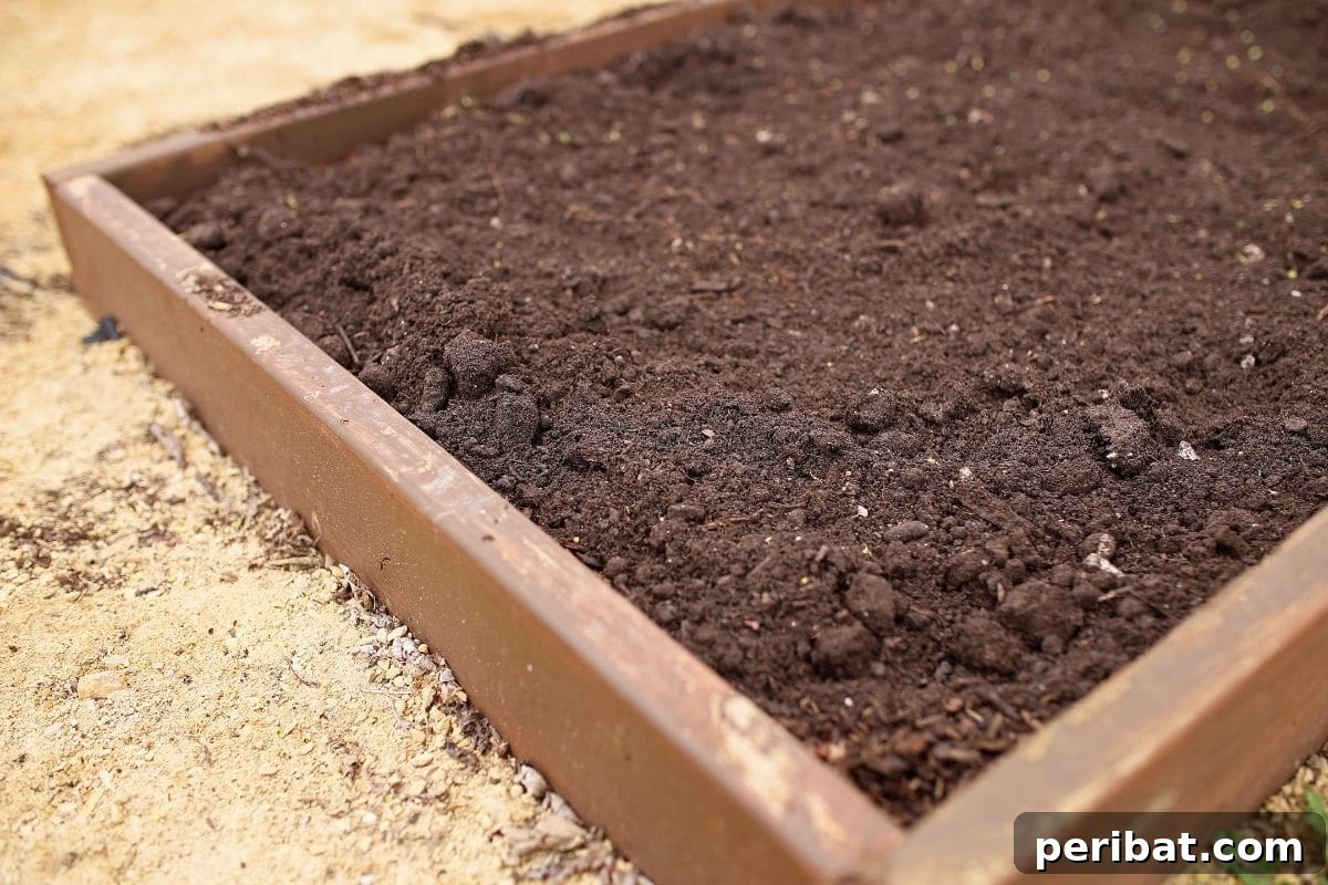 15 Expert Strategies for Pre-Planting Soil Improvement 22 unplanted garden bed