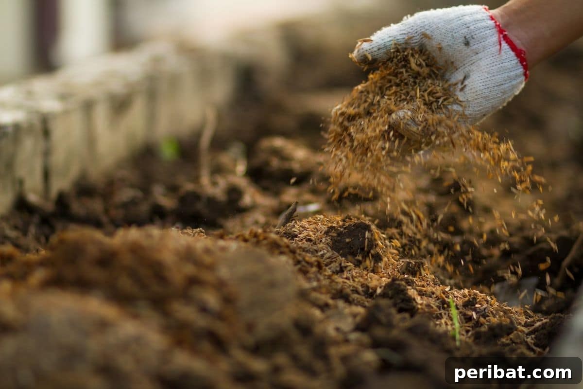 15 Expert Strategies for Pre-Planting Soil Improvement 23 mulching the soil