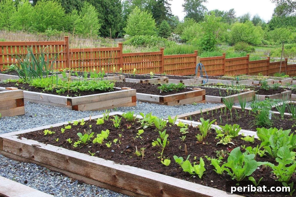 15 Expert Strategies for Pre-Planting Soil Improvement 24 garden beds