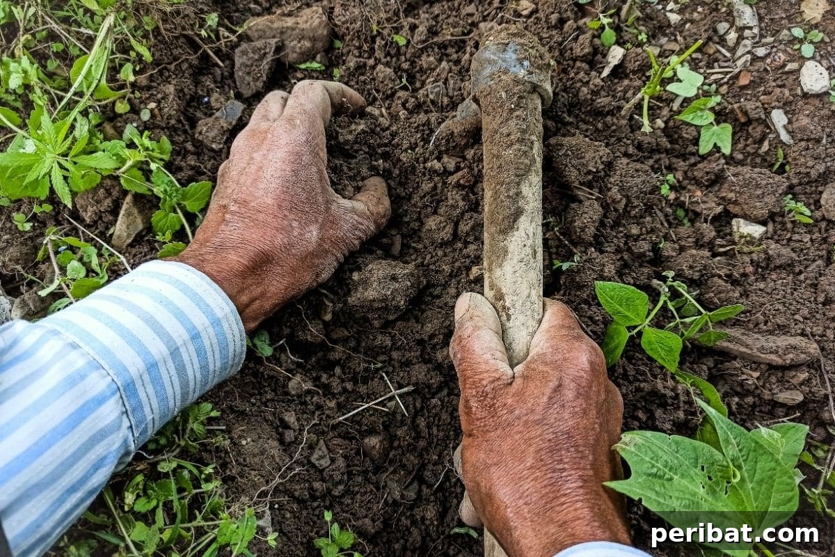 15 Expert Strategies for Pre-Planting Soil Improvement 25 tilling the soil