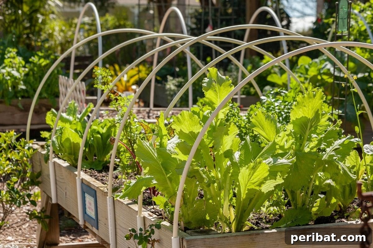 15 Expert Strategies for Pre-Planting Soil Improvement 26 raised garden bed with vegetable plants