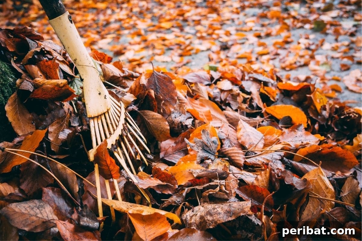 15 Expert Strategies for Pre-Planting Soil Improvement 7 pile of dried leaves from autumn