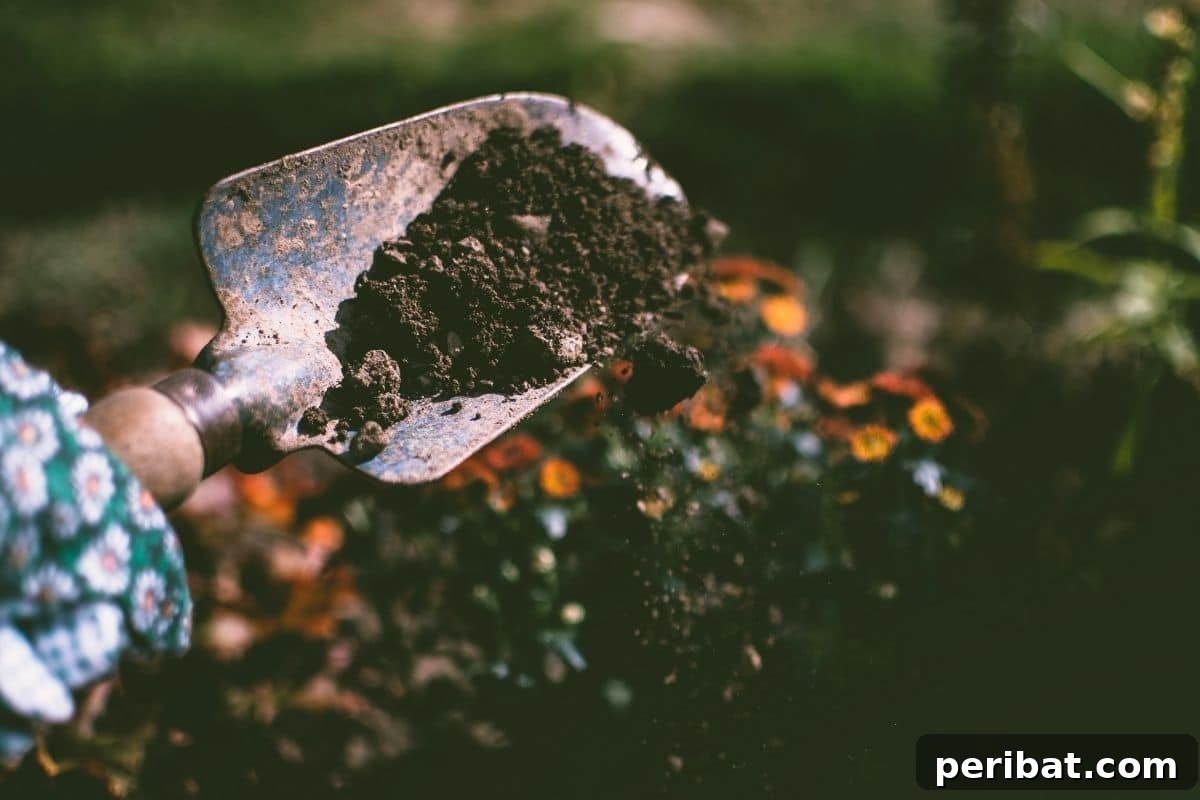 15 Expert Strategies for Pre-Planting Soil Improvement 10 garden soil in a shovel